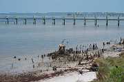 St George 2006 004